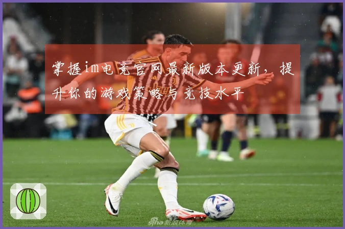 掌握im电竞官网最新版本更新，提升你的游戏策略与竞技水平