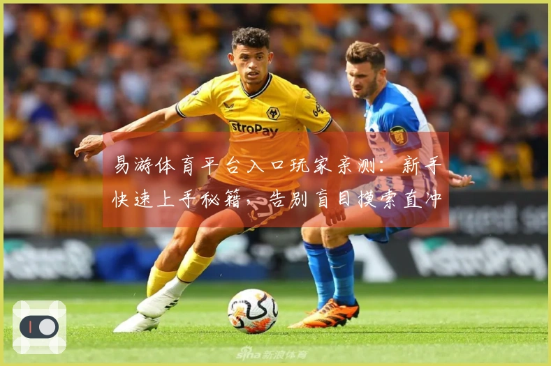 易游体育平台入口玩家亲测：新手快速上手秘籍，告别盲目摸索直冲大神！