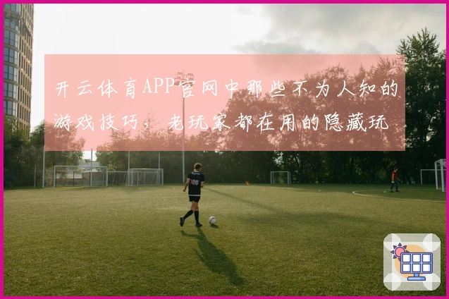 开云体育APP官网中那些不为人知的游戏技巧，老玩家都在用的隐藏玩法你知道吗？