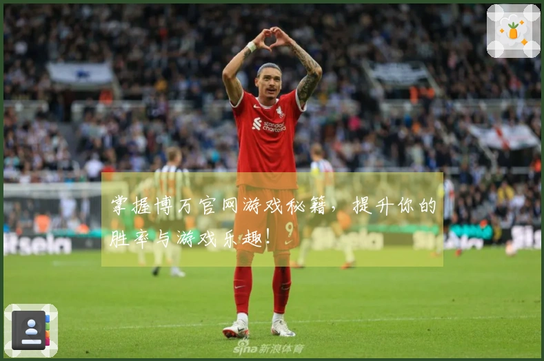 掌握博万官网游戏秘籍,提升你的胜率与游戏乐趣!