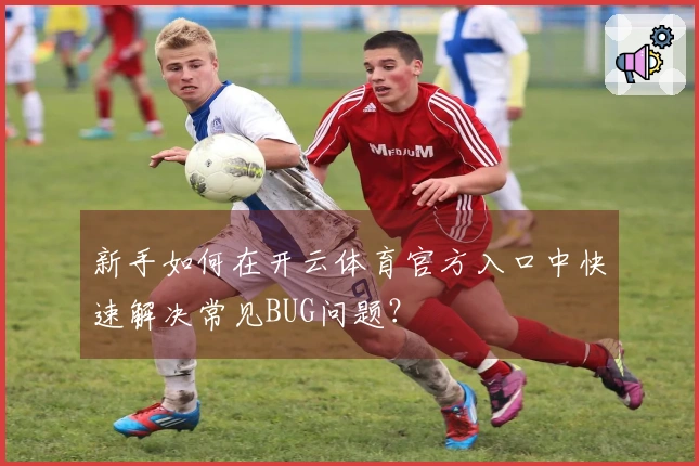 新手如何在开云体育官方入口中快速解决常见BUG问题？