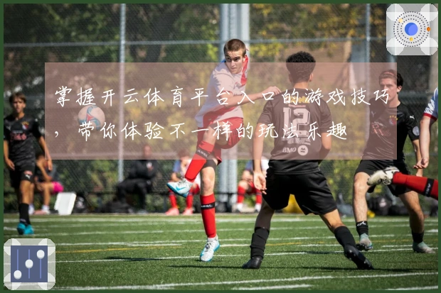 掌握开云体育平台入口的游戏技巧，带你体验不一样的玩法乐趣