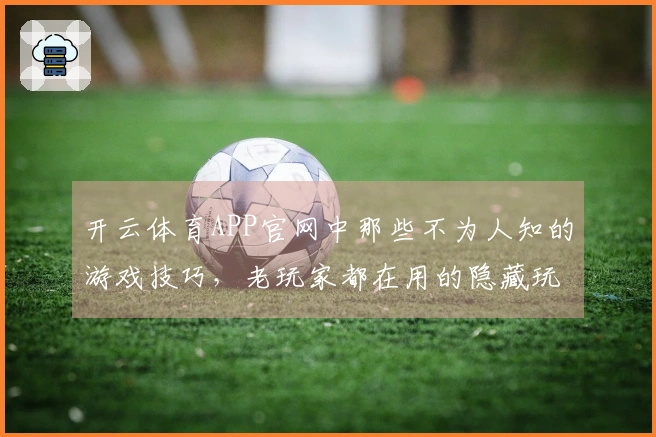 开云体育APP官网中那些不为人知的游戏技巧，老玩家都在用的隐藏玩法你知道吗？